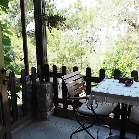Loca Hotel Σιντέ Εξωτερικό φωτογραφία