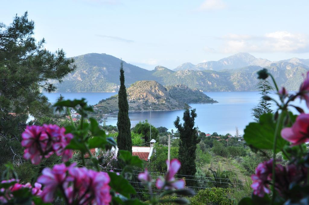 Loca Hotel Σιντέ Εξωτερικό φωτογραφία